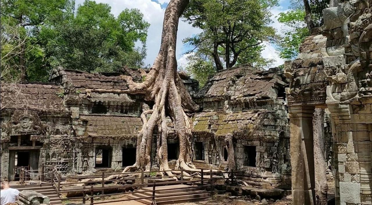 The Palmery Siem Reap Eksteriør bilde