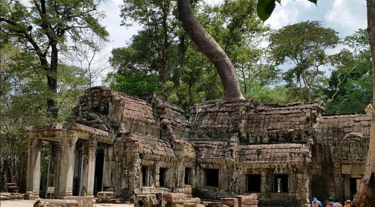 The Palmery Siem Reap Eksteriør bilde